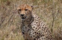 9 Days 8 Nights Walking Safari