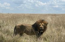 9 Days 8 Nights Walking Safari