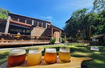 Beer and Food Tasting Experience at Roatan Island Brewing Company