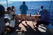 Semi Private and Private Daily Fishing Trip Athens