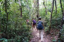 Jungle Trekking Tour at Phnom Kulen National Park from Siem Reap