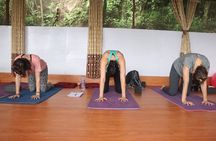 21 Days Yoga Retreat in Himalayan Country Nepal