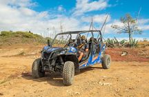 Buggy tour at Anfi beach
