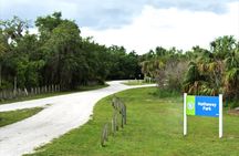 Night Sky Stargazing Tour in Punta Gorda Florida