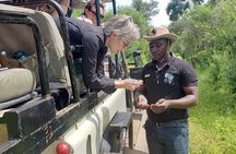 A Game Drive Plus White Rhino Short Walk 