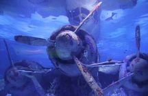 Alexander Waterfall and Antalya Aquarium Day Tour from Side