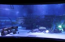 Alexander Waterfall and Antalya Aquarium Day Tour from Side