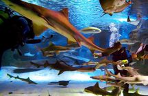 Alexander Waterfall and Antalya Aquarium Day Tour from Side