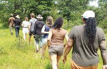 A Game Drive Plus White Rhino Short Walk 