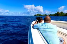 Cliff's of Hawai'i Onomea Waterfall Cruise