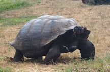 Private BiciTour Giant Tortoises and Lava Tunnel in Galapagos