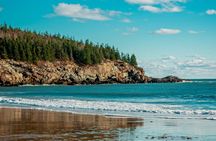 Acadia Full Day Small Group Tour