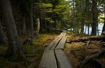 Acadia Full Day Small Group Tour