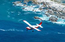 Kaikoura: Coastal and Alpine Scenic Airplane Flight