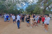Tour Chichen Itza, 2 Cenotes, and Valladolid from Cancun