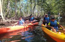 Mangrove Jungle Exploration on SUP/Kayak