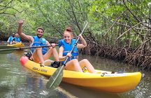 Mangrove Jungle Exploration on SUP/Kayak