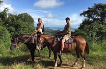 Side Horse Riding On Beach And Through The Forests For 2 Hours