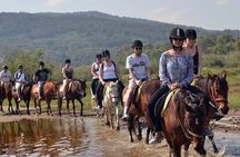 Side Horse Riding On Beach And Through The Forests For 2 Hours