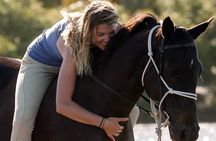 Side Horse Riding On Beach And Through The Forests For 2 Hours