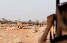 Full Day Pilanesberg Safari Adventure