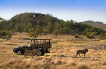 Full Day Pilanesberg Safari Adventure