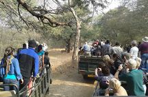 Jaipur to Ranthambore National Park Private One Day Trip