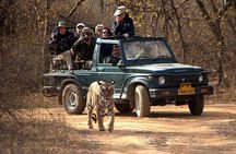 Jaipur to Ranthambore National Park Private One Day Trip