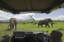Chobe Extended Day Trip from Victoria Falls - Small Group