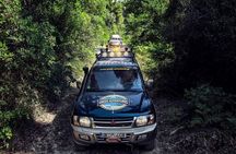 Off Road Safari Experience in Sithonia Halkidiki