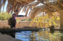 Colored, Closed, Hamata, White, Canyons, and Khudra Spring Oasis
