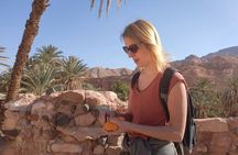 Colored, Closed, Hamata, White, Canyons, and Khudra Spring Oasis