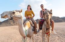 2 Hours Camel Riding Experience in Agadir