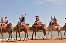 2 Hours Camel Riding Experience in Agadir