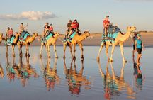 2 Hours Camel Riding Experience in Agadir