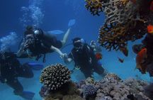 Antalya/Kemer Scuba Diving with Pickup, Lunch, and 2 Dives