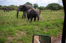 Tarangire Joint Tour(Free Accommodation before safari)
