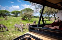 Tarangire Joint Tour(Free Accommodation before safari)