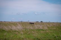 5 Days Tanzania's Wildlife Joint Safari.
