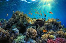 Have Fun in Blue Lagoon Snorkeling with Quad Bike Ride in Bali