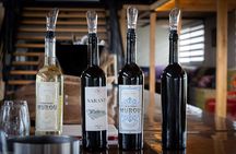 VIP Full Day Wineries Tour from Istanbul 