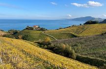 Coastal "Winery Camino Trail" Walking Tour from San Sebastian