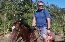 Short Excursion horseback riding tours on the beach and mountain