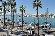 Full Day Cultural and Gastronomic Tour of Malaga