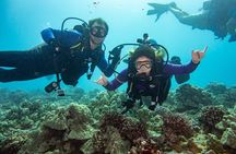 Small Group Shallow Reef Dive in Oahu