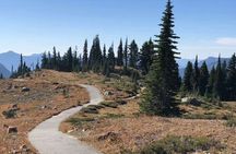 Small Group Mt Rainier National Park Day Tour from Seattle 2CanGo
