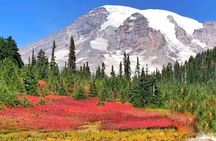 Small Group Mt Rainier National Park Day Tour from Seattle 2CanGo