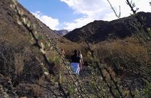 Trekking and Roasting in the Precordillera at Family Ranch