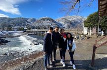 Kyoto Full Day Tour from Osaka with Licensed Guide and Vehicle