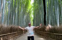 Kyoto in 1 Day from Kobe: Private Car Tour, Licensed Guide